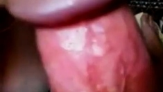She Sucks Her Man Till He Cum In Her Mouth - Homemade