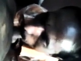 Indian Grandpa sucking