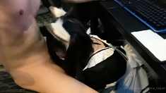 Amateur Asian Teen Fucks Her Boyfriend In a Hotel