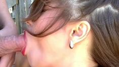 Amateur german MILF blowjob