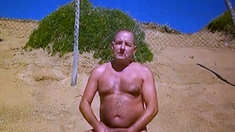 Osos en la Playa