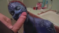 Amateur Blowjob Video