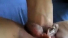 Amateur Homemade Couple Fucking 3 Cum Shorts