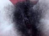 fantastic bush 1