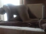 Arab men KNOW how to FUCK. ( Amateur )