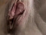 couple have sex outdoor